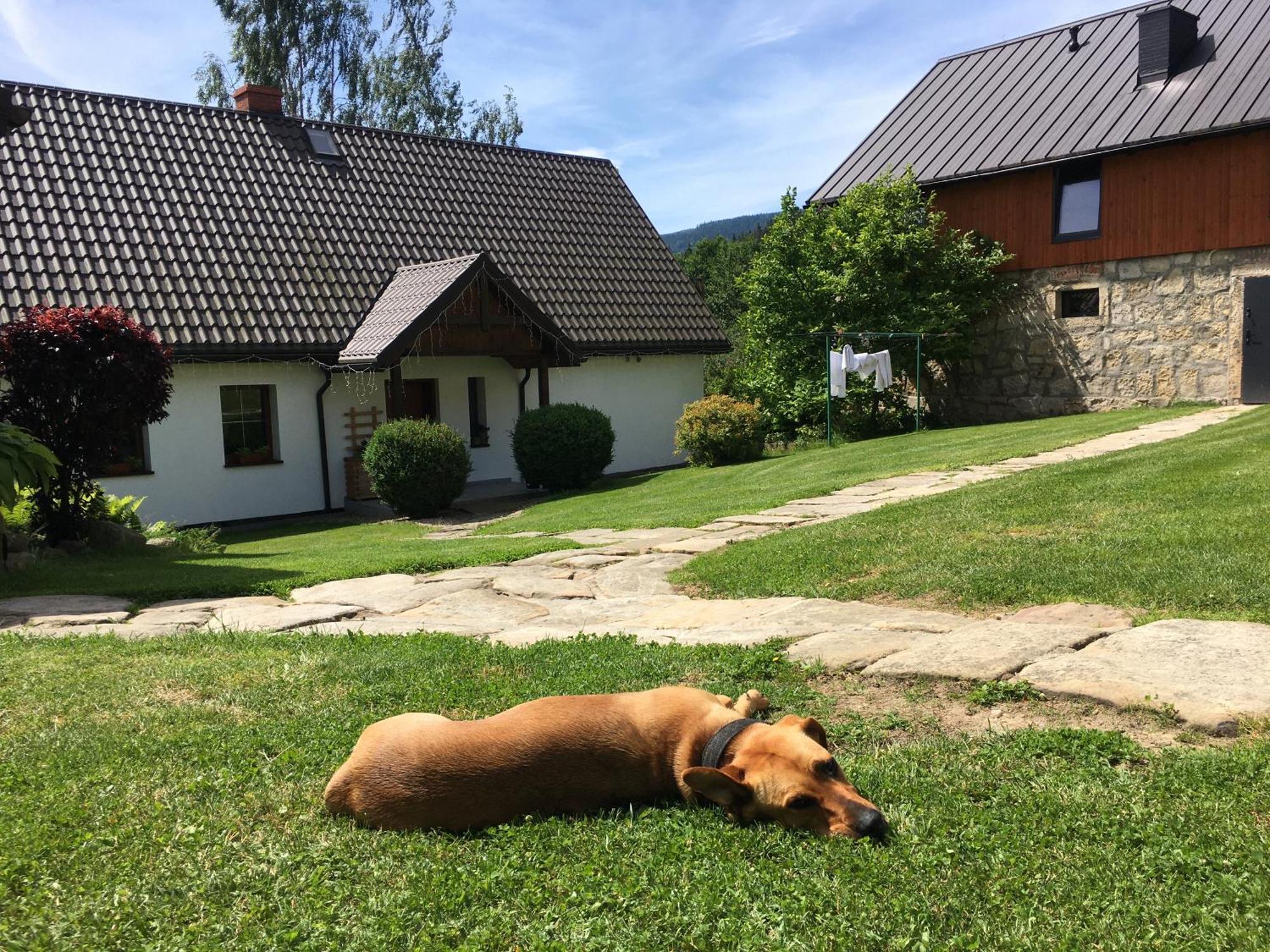 Agroturystyka Ostoja Polanica-Zdrój Eksteriør bilde